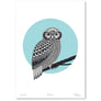 Bird Art Prints Art Print Ruru Limited Edition Print