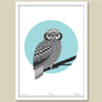 Bird Art Prints Art Print Ruru Limited Edition Print